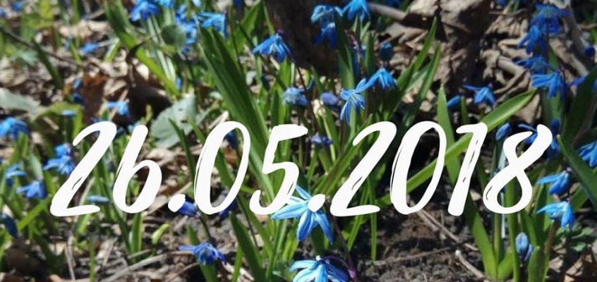 свобода2018 Миниатюра